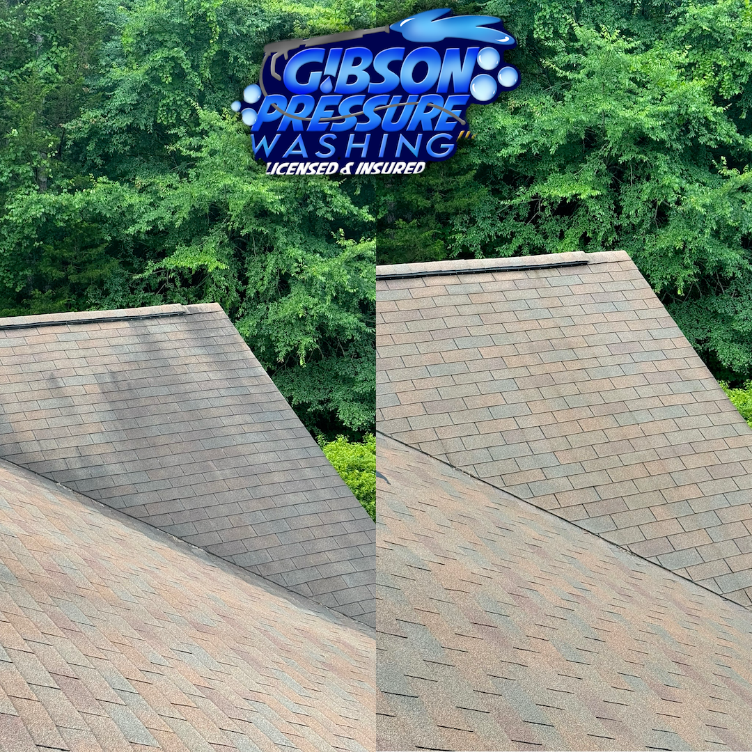 Roof Cleaning in Opelika, AL Image